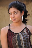 Actress Praneetha Stills